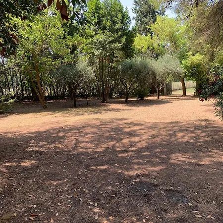 Apartman San Pietro