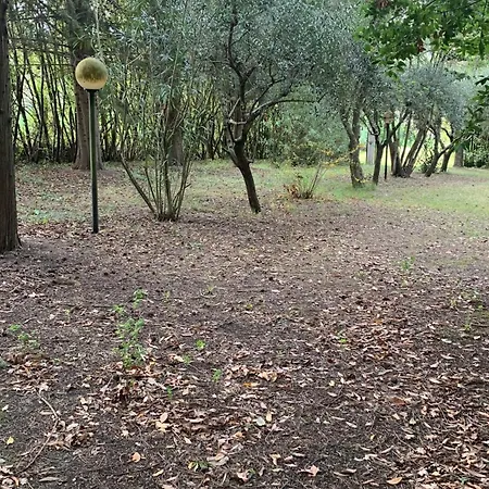 San Pietro * Monte Urano