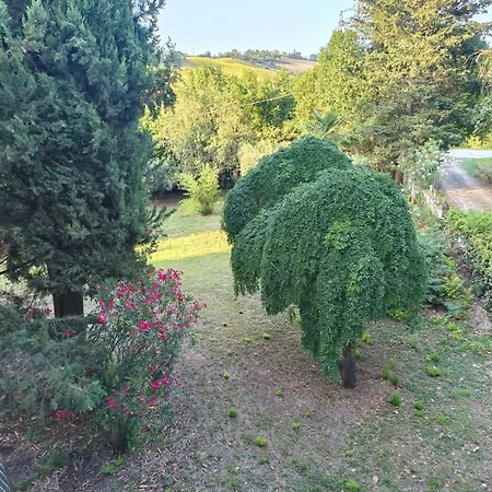Apartman San Pietro *