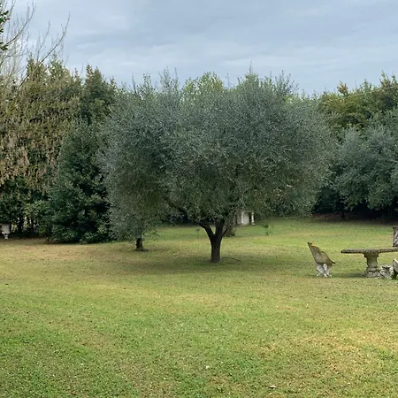 Apartman San Pietro *