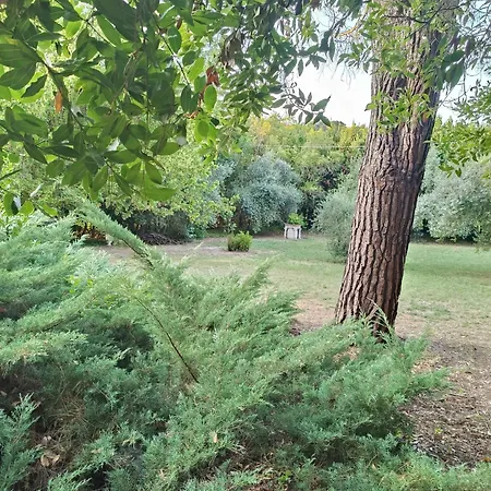 Appartement San Pietro Monte Urano