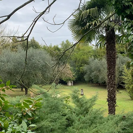 Apartman San Pietro *